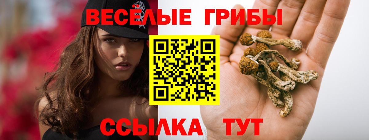 Вичуга  Псилоцибиновые грибы прущие грибы  Вход с VPN 